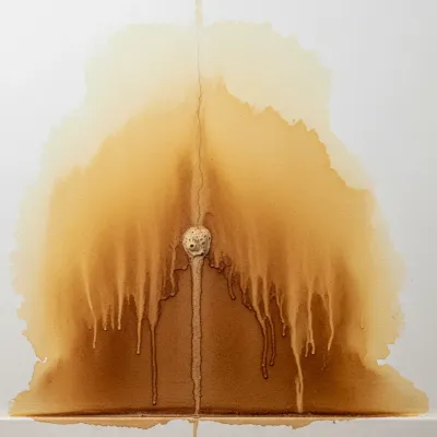 Humedad en la Pared: ¿Es una Fuga de Tubería? Cómo Detectarlo